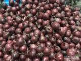 Sprzedam zdrową ładną cebulę czerwoną kal 50+ pakowaną w worek 5kg, 10kg, 15kg lub bigbag, cebula z badaniami i certyfikatami,...