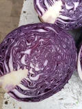 Kapusta czerwona futurima przemysłowa. Cena do uzgodnienia 