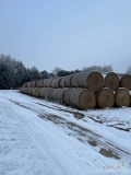 Sprzedam słome z tego sezonu 300zł za tone. Po prasie lely welger. Belka 160 mocno zbita 