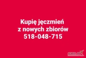Kupię jęczmień paszowy 200 ton. Proszę o kontakt telefoniczny 518-048-715