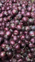 Cebula CZERWONA na pakowanie. Niesort 50%6+ lub sortowana 4-6, 5-7, 6-8. Ilości torowe. Import. 