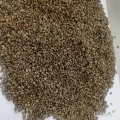 Ziarno konopi do tłoczenia oleju – wysoka jakość, czystość 99,9%