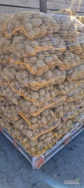 Sprzedam ziemniaki jadalne Jurek 15 kg,  55+, 1500 worków, zdrowy z jasnej ziemi