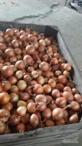 Sprzedam  cebulę 5+, big bag,lub skrzynia,sucha,ładna na worek,możliwy transport 