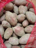Sprzedam ziemniaki czerwone Red Bullet w worku lub bb w kalibrze 5+ Ładny zdrowy ziemniak z fito. Zapraszam