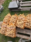 Sprzedam ziemniaki odmiany Soraya pakowane w 15kg. Ukopie na świeżo pod zamówienie. 
