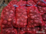 Sprzedam cebule czerwona worki 5,10kg