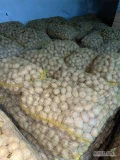 Witam. Sprzedam ziemniaki Soraja kaliber 3,5-4,5