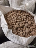 Sprzedam tirowe ilości ziemniaków Tajfun  w big bagu .