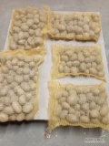 Sprzedam ziemniaki SORAYA pakowane worek szyty 5, 10 kg 