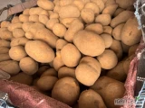 Sprzedam ziemniak odmiana soraya 35-50