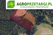 Przetarg na dzierżawę 2,21 ha gruntu rolnego na 3 lata – RIIIa, RIIIb, RIVa, RIVb, RV, PsIV