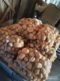 Sprzedam ziemniaki odmiany Jurek i Ignacy. Około 700 worków po 15kg. Cena 0,50zł/kg. Możliwość transportu.
