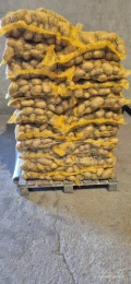 Sprzedam ziemniaki gruby kaliber. Mozliwosc pakowania w worki 5.10.15kg luz, bb