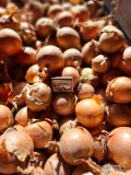 Sprzedam cebulę na obieranie 5+, gruba, zdrowa, sucha, ilości tirowe luzem