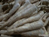 SPrzedam korzeń pietruszki: