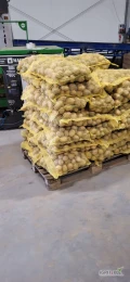 Sprzedam ziemniaki Soraya z jasnej ziemi,kal.50+worek szyty, ilości paletowe i tirowe, faktura VAT , 40gr kg