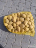 Sprzedam ziemniaki odmiana Soraya kaliber 45+,cena 4 zł za 15 kg,możliwość transportu.