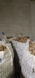 Sprzedam ziemniaki jadalne odmiany Jurek, kal 5+. Naszykowane 23 t w big bagu. 