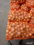 Sprzedam cebule suchą w worku 10 kg