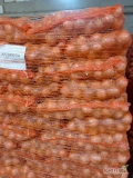 Sprzedam Cebule kaliber 5-8 małe i duże ilości pakowane po 15 kg więcej informacji pod nr tel 727694440.