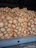 Sprzedam ziemniaki jadalne odmiany soraya, pakowane w worki 15 kg, towar ładny z jasnej ziemi. Ilości busowe.