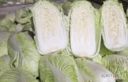 Witam mam do sprzedania kapustę pekińską bilko naprawdę bardzo ładny towar, czysto zrobiony główki 1,2 do 2 kg, 5 zł sztuka 