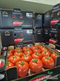 Sprzedam pomidor , kraj poch Turcja