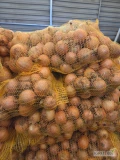 Cebula 4,5÷8 w worku 10kg 