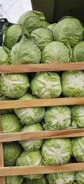 Sprzedam kapusta swieze,+1-3kg, z dostawa Rumunia-ocolice Craiova,2zt/kg,ilosci tirowe.