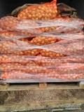 Sprzedam cebulę drobna35 45 nie faszerowana ilość 550kg