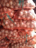 Sprzedam cebulę Rockito w workach 15 kg Lenko kaliber od 5 do8 cebula z przylegającą łuską twarda, w ilości ok20t.Zapraszam mogą być...