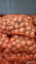 Kupie cebule żolta kal.50-80 pakowana w worki po15kg ilości paletowe