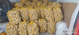 Witam. Sprzedam ziemniaki Soraya pakowane po 15kg. Kopane świeżo na zamówienie. Możliwa ciągła współpraca. Cena do uzgodnienia 