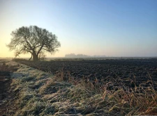 Zakaz sprzedaży gruntów rolnych Skarbu Państwa na kolejne 10 lat