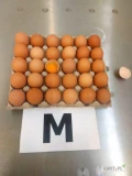 Sprzedam jaja L i M, duże ilości, z dostawą.