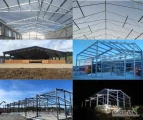 Trwałe konstrukcje dla rolnictwa – hale, wiaty, magazyny!