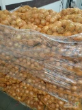 Sprzedam cebulę żółta odmiana hybelle worek 10/15 kg kal+45 ostatnie 4tony oraz cebulę na wysadke 2tony 