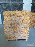 Sprzedam ziemniaki żółte Queen Anna Owacja Tajfun kaliber +45 po szczotce worek 15 wiązany lub szyty ilości paletowe 