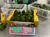 AVACADO  & MANGO & ANANAS  SPRZEDAM .Jestem dystrybutorem kenijskich firm UKAY, REMBO i ZAPET. Zajmuję się całym importem z Kenii bez...