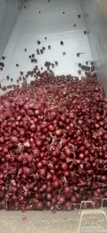 Cebula CZERWONA na pakowanie i obieranie ,import ,dostawa do klienta ,cała Polska ,co tydzień nowe oferty , dostępne cały rok ,...