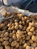 Ziemniaki jadalne Melody 50+ z jasnej ziemi po czyszczarce. Worek szyty, big bag lub luz. Ilości tirowe.