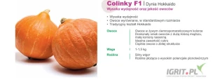 COLINKY F1(j.1 000n) nasiona dyni Hokkaido firmy SAKATA ofruje GEPWEG dystrybutor nasion. Dostawa gratis. Płatność przy odbiorze.