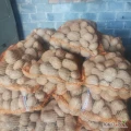 Sprzedam ziemniaki Jurek ilość 1000worków 15kg lub big bag.kaliber +45.mozliwosc transport ilości busowe