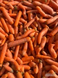Sprzedam myty odsort marchwi w dowolne opakowanie (worek skrzynia luz) 