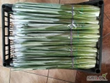 Sprzedam szczypior paluch cięty z  cebuli ,paczki około 600g, świezy estetycznie zrobiony końcówki nie wystają folja nie pozaginana