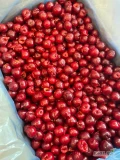 Sprzedam wiśnie mrożoną, klasa 1, pestka 1/10kg, kaliber 18mm+, 