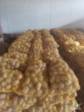 Witam sprzedam ziemniaki Soraya 4,5 + Takie jak na zdjęciu zapraszam 