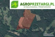 Przetarg na dzierżawę 18,88 ha gruntu rolnego na czas nieokreślony – RIIIb, RIVa, RV, RVI, ŁIV, ŁV, ŁVI, PsIV, PsV, PsVI