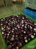 Witam. Oferuję cebulę czerwoną obraną . Pakowanie vacuum, worek raszlowy 10 kg, kisten 400 kg.